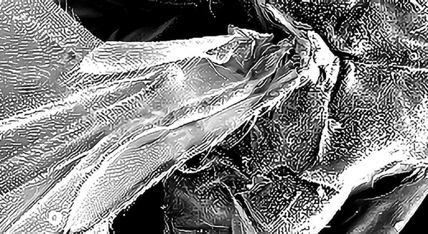 CRB GmbH | picture generation at SEM | © CRB Analyse Service GmbH