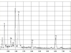 EDX Spektrum Actinolite amianto en yeso, espátula | © CRB Analysis Service GmbH