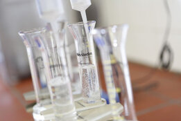 CRB GmbH | Preparación de la muestra de asfalto para el análisis de amianto | © CRB Analysis Service GmbH