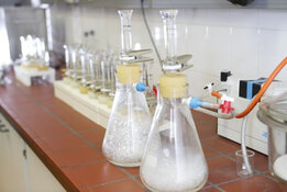 CRB GmbH | Preparación de la muestra de asfalto para el análisis de amianto 2 | © CRB Analysis Service GmbH