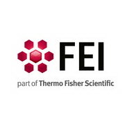 Logo di  FEI - Field Electron and Ion Company - parte di Thermo Fisher Scientific | © FEI - Field Electron and Ion Company - parte di Thermo Fisher Scientific
