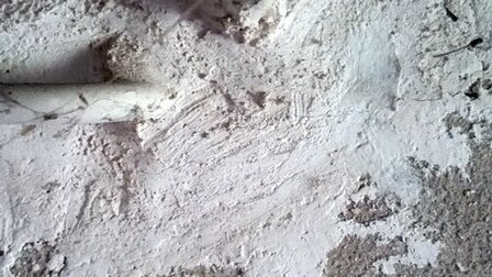 Figura: stucco sospetto di contenere amianto | © CRB Analyse Service GmbH