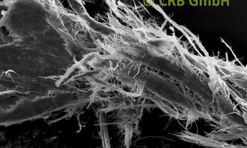 Imagen MEB de amianto crisotilo en sellador | © CRB Analysis Service GmbH